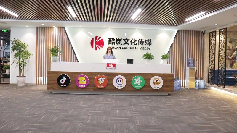 上海媒介投放方案：策略与技巧解析